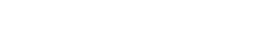 The Winter Group Consulting Logo